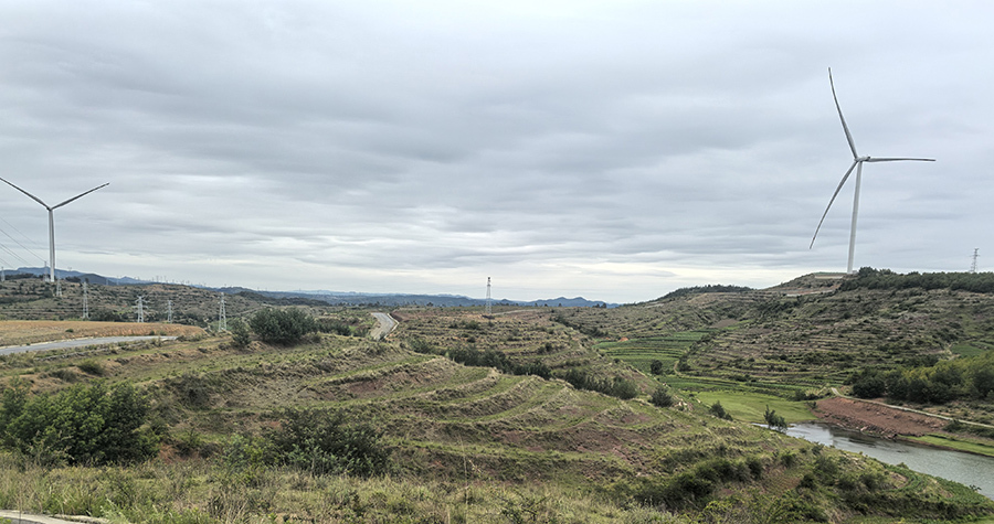 IMG_20260610_113610_1.jpg